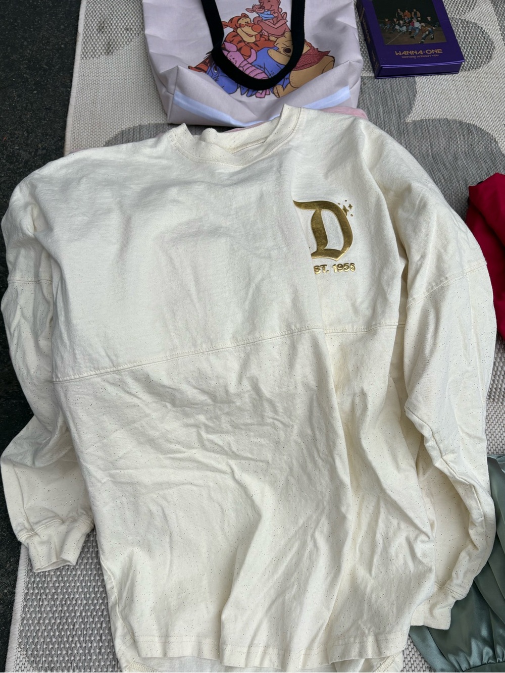 Disney Spirit Jersey